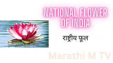 National flower of India