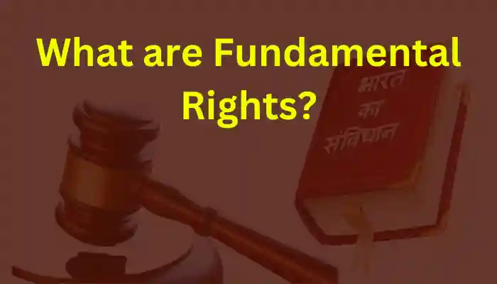 What are Fundamental Rights