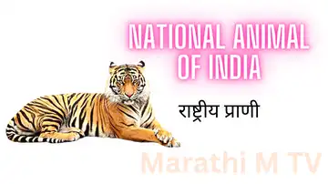 national animal of India