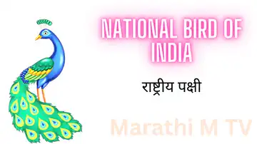 national bird of India