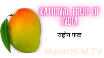 national fruit of India