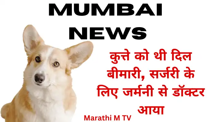mumbai news Veterinarian called from Germany to Mumbai for dog surgery